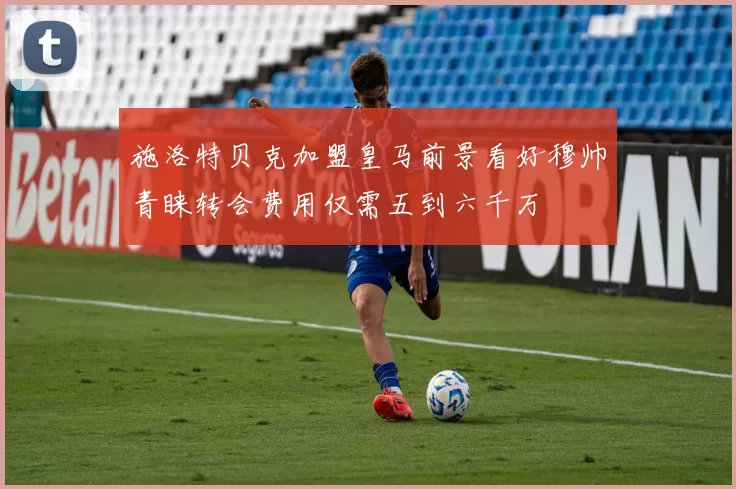 施洛特贝克加盟皇马前景看好穆帅青睐转会费用仅需五到六千万